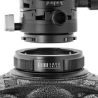 Photo of ARCA-SWISS QuickLink System tripod head set, receiver base with 3/8” socket and tripod head disk with 3/8” screw. From ARCA-SWISS USA.  SKU:  802320